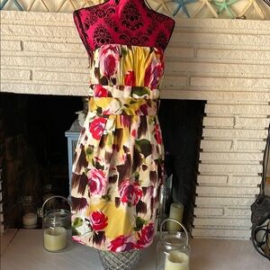 Beautiful, Silky Pink and Red Strapless Sundress Cocktail